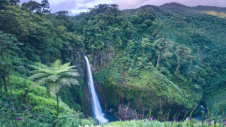 Costa Rica rainforests: 6 best experiences - Tripadvisor